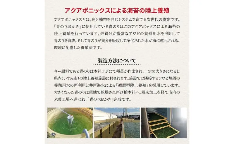 小林海苔店の青のりおかき5袋セット 〈お菓子 おやつ おかき せんべい 煎餅 揚げ餅 菓子 米菓子 プレゼント お土産 おすすめ〉