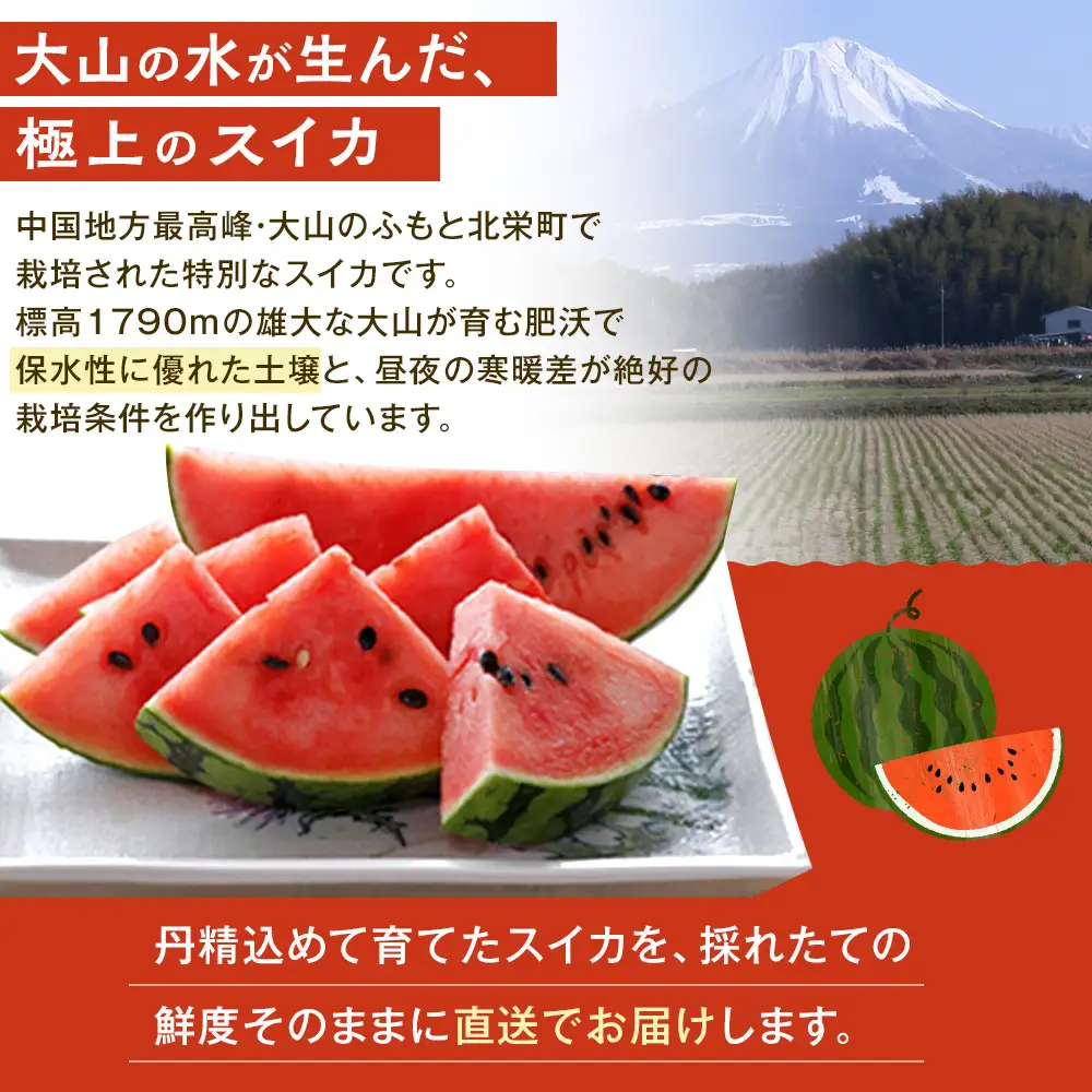 【先行予約】鳥取県北栄町産 大玉スイカ(2玉セット)１玉あたり7-9キロ前後2L-4Lサイズ（こちらの返礼品は、大栄西瓜ではありません） スイカ
