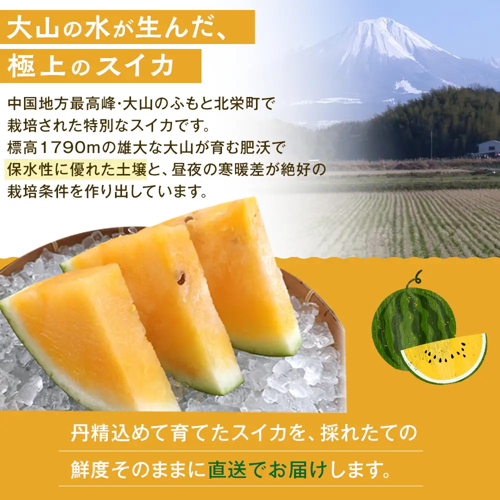 【先行予約】鳥取県北栄町産 金色羅皇スイカ(2玉セット)１玉あたり7-9キロ前後（こちらの返礼品は、大栄西瓜ではありません） スイカ
