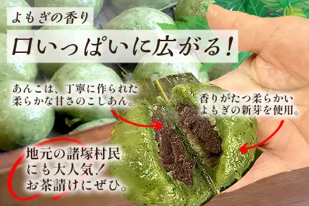【定期便3ヶ月毎2回】だんご 黒岳だんご（6個入×5P）×2回 3か月毎配送 計60個 冷凍｜団子 和菓子 お菓子 あんこ こしあん よもぎ 米粉 手作り 個包装 大容量 もろっこはうす 宮崎県 諸塚村 MO-05