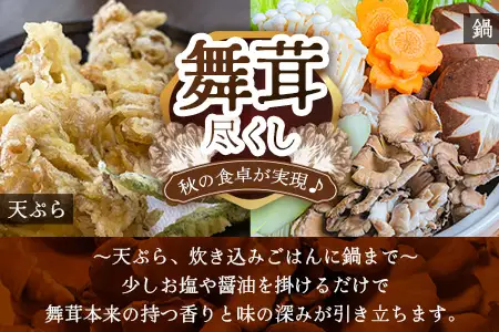 【先行予約】宮崎県諸塚村産 原木舞茸 1kg 数量限定［2026年10月下旬～11月中旬ごろにお届け］冷蔵｜マイタケ きのこ キノコ 原木まいたけ 産地直送 秋の味覚 もろっこはうす 宮崎県 諸塚村 MO-29