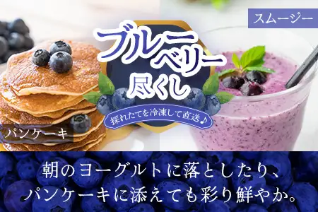 【数量限定】諸塚村産 冷凍ブルーベリー 約1kg｜ブルーベリー 果物 フルーツ 産地直送 スムージー ヨーグルト もろっこはうす 宮崎県 諸塚村 MO-34