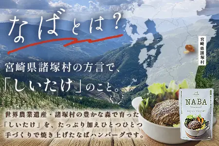 NABA ハンバーグアンチョビソース掛け 4食 セット 常温｜カレー レトルトカレー カレーライス なば しいたけ 椎茸 アンチョビ ハンバーグ レトルト 簡単調理 常備 備蓄 おかず アレンジ 家庭用もろっこはうす 宮崎県 諸塚村 MO-36