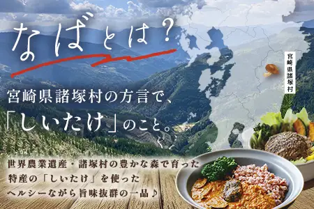 NABAカレー バターチキンカレー＆ハンバーグアンチョビソース掛け セット 2種各2食 計4食 常温｜レトルトカレー カレーライス なば しいたけ 椎茸 ハンバーグ アンチョビ レトルト 簡単調理 常備 備蓄 おかず アレンジ 家庭用もろっこはうす 宮崎県 諸塚村 MO-37