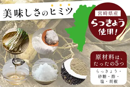 箸がとまらんおいしさ！ らっきょう漬け 150g×4P 常温｜らっきょう 漬物 お漬物 酢漬け おつまみ もろっこはうす 宮崎県 諸塚村 MO-43