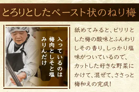 ねり梅 120g×3P パウチ 常温｜ねりうめ 梅 ウメ 梅肉 ペースト シソ 紫蘇 和え物 梅和え 漬物 ごはんのお供 熱中症対策 塩分 加工品 調味料 もろっこはうす 宮崎県 諸塚村 MO-48
