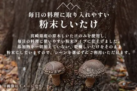 宮崎県産 粉末 しいたけ 40g×6P 計240g 常温｜国産 乾燥しいたけ 椎茸 調味料 出汁 椎茸茶 家庭用 チャック付 パウダー もろっこはうす 宮崎県 諸塚村 MO-13