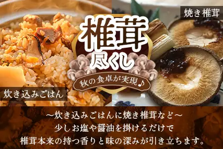 【世界初CoC認証取得！】宮崎県諸塚村産 乾しいたけ どんこ 90g 化粧箱入 常温｜干ししいたけ 椎茸 冬菇 肉厚 お煮しめ お鍋 網焼き 原木栽培 CoC認証 高級 もろっこはうすMO-14