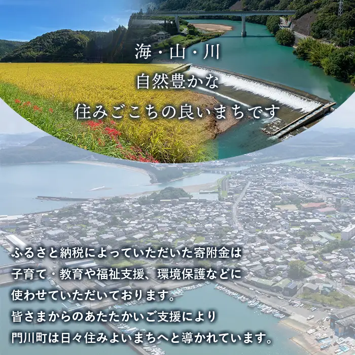 ≪返礼品なし・1,000円≫宮崎県 門川町への寄附【地域振興課】【AI-10】
