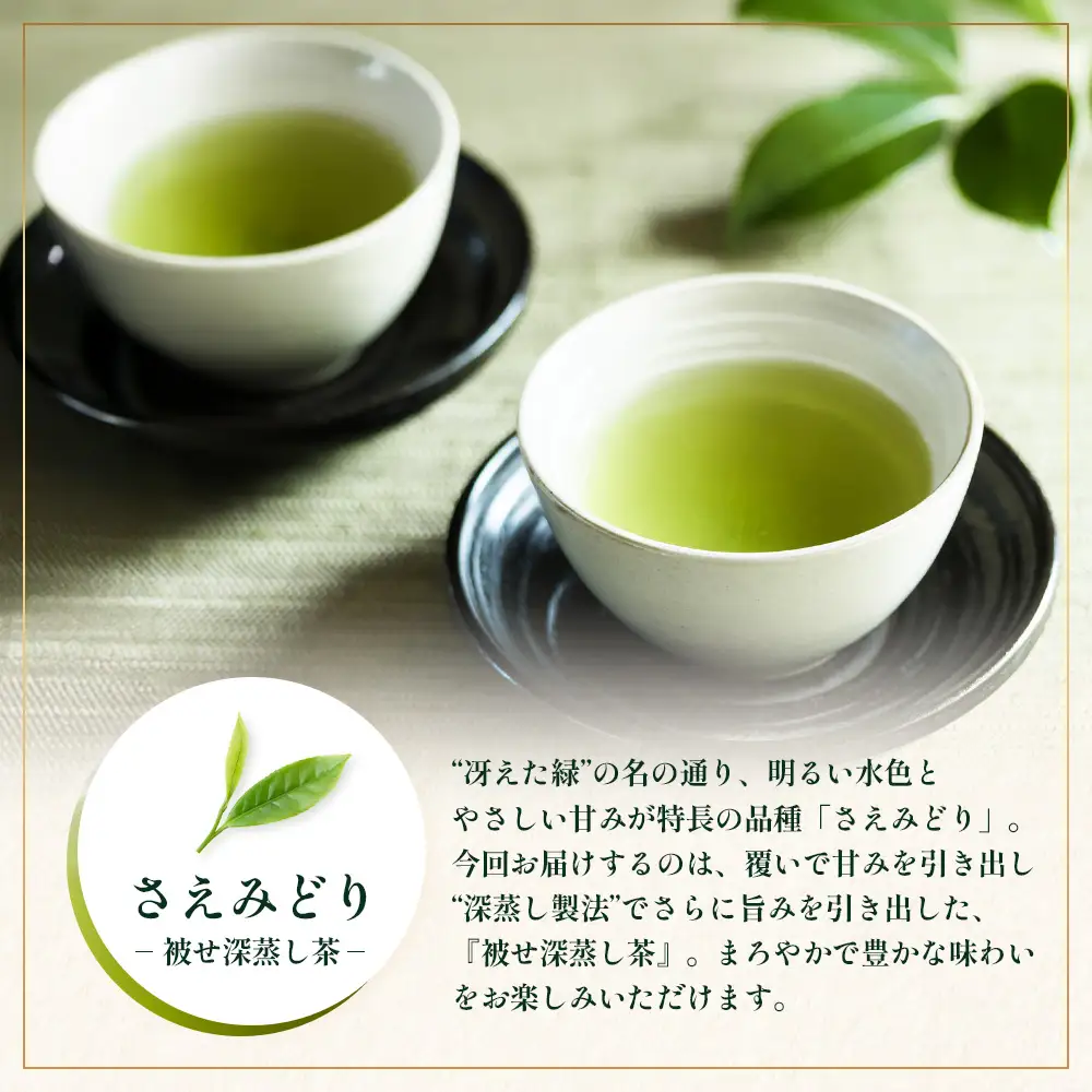 【2026年摘みたて！】ナナ茶 新茶贅沢2種セット 被せ深蒸し茶 さえみどり（80g×1P） ＆ 被せ茶 あさのか（80g×1P）RS-12｜お茶 茶 茶葉 お茶の葉 被せ茶 玉露仕立て 緑茶 高級緑茶 高級 日本茶 鹿児島茶 国産 おしゃれ ブレンド茶 シングルオリジン 被覆栽培 鹿児島県 南大隅町 株式会社Re-Shine