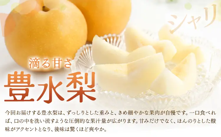 数量限定 先行予約 豊水梨 約2kg 熊本県産 梨