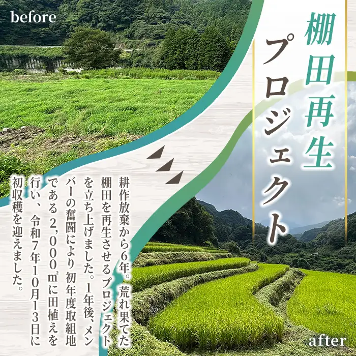 ＜令和7年産＞ひのひかり 掛け干し米 津房のめぐみ (2kg) 米 お米 白米 ご飯 棚田米【102600300】【津房地区まちづくり協議会】