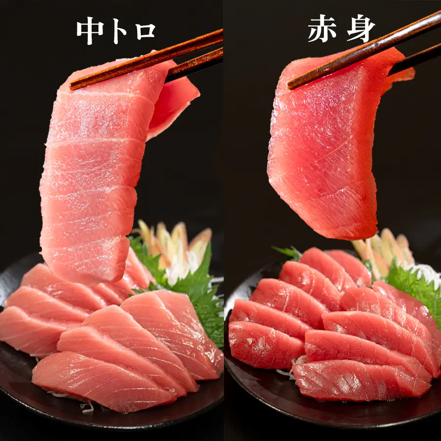 【父の日】6月20日お届け限定 本マグロ 中トロ・赤身 食べ比べ 日本一