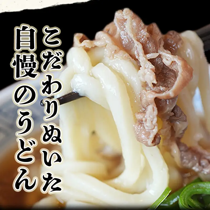 どんどん堪能便 ふるさと萩の味「どんどん」の肉うどん8人前セット 定期便3回コース