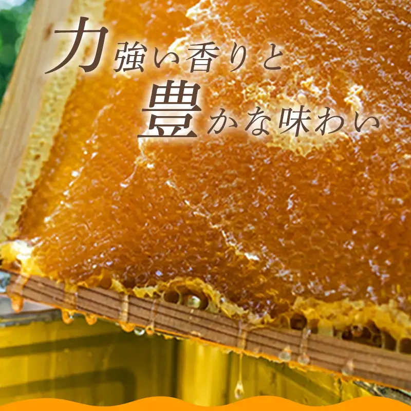 純粋天然 山口のはちみつ1kg 4本