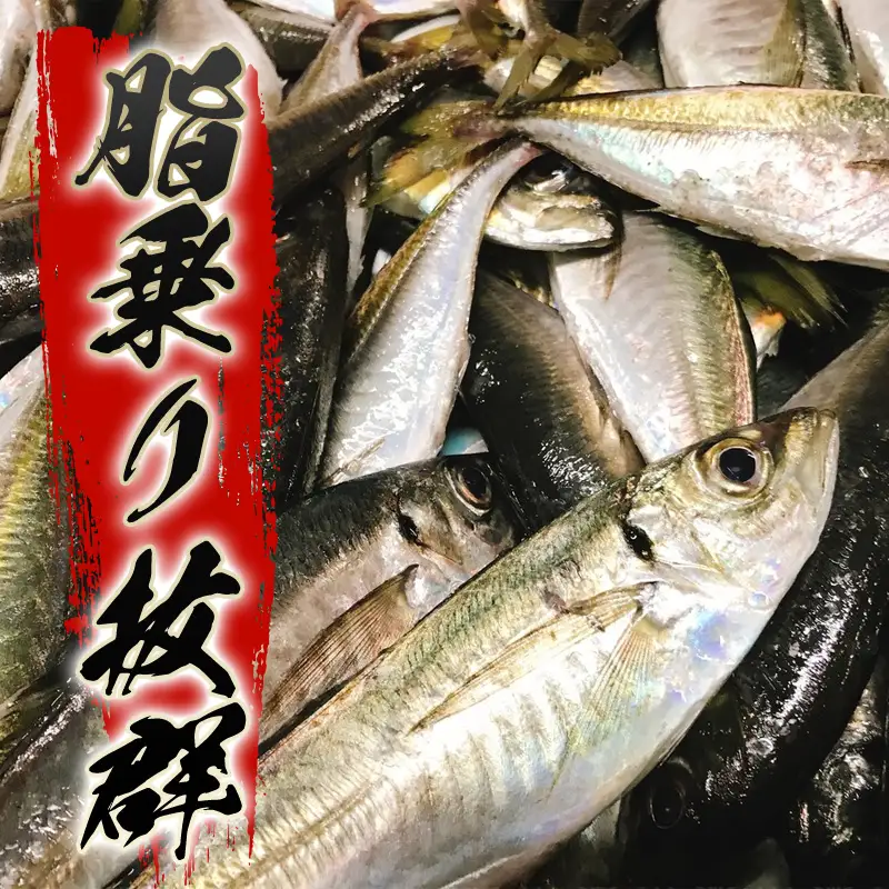数量限定・萩の瀬つきあじ開き(特大サイズ/全長30cm前後を5尾入り)