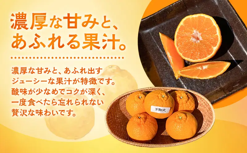 不知火 ＋ 旬の柑橘おまかせセット 2～3種類 5kg みかん ミカン セット 旬の果物 フルーツ 果実 はるか はるひ スイートスプリング ポンカン 青島 はるみ 麗紅 不知火 河津町 静岡県