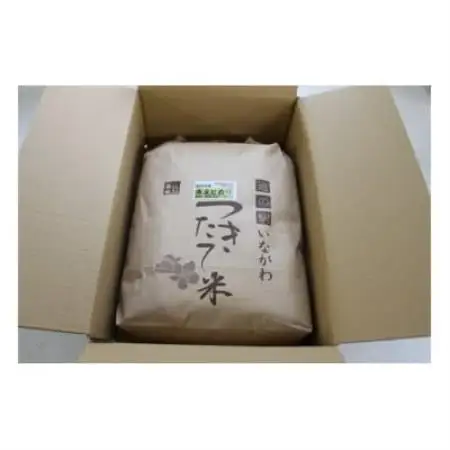 【毎月定期便】猪名川町のお米・キヌヒカリ(精米)約18kg全2回【4085209】