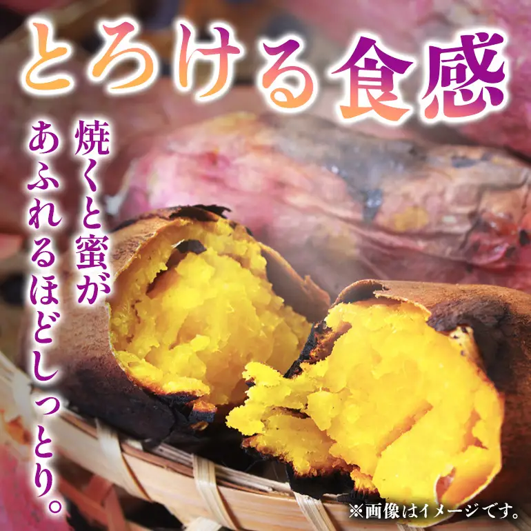 ねっとり甘い♪茨城県産熟成べにはるか 約5kg B15-009