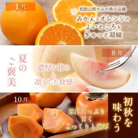 【発送月固定定期便】フルーツ定期便　品質に自信あり!道の駅よりこだわり農家厳選品!全3回【配送不可地域：離島】【4083384】