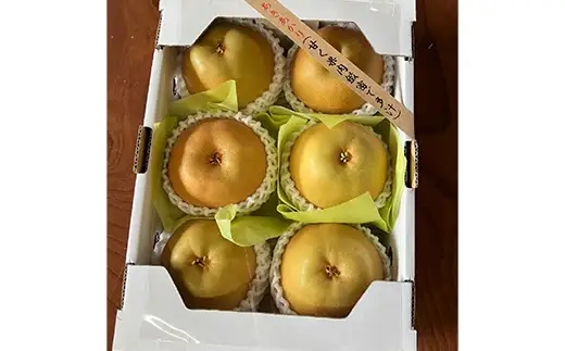 【2026年8月発送開始】至高のフルーツ！山形県産旬のフルーツちょっとずつ食べ比べ定期便A 全4回 F4A-1030