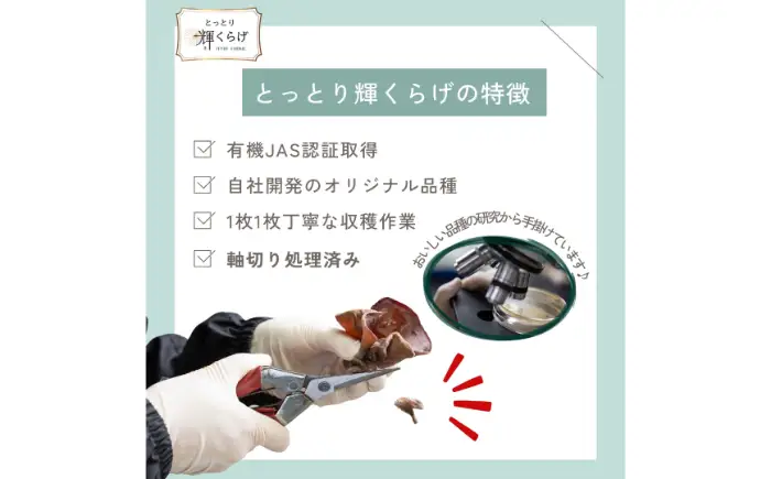 鳥取県産有機生あらげきくらげ（6パック入）レシピ付_T2600417