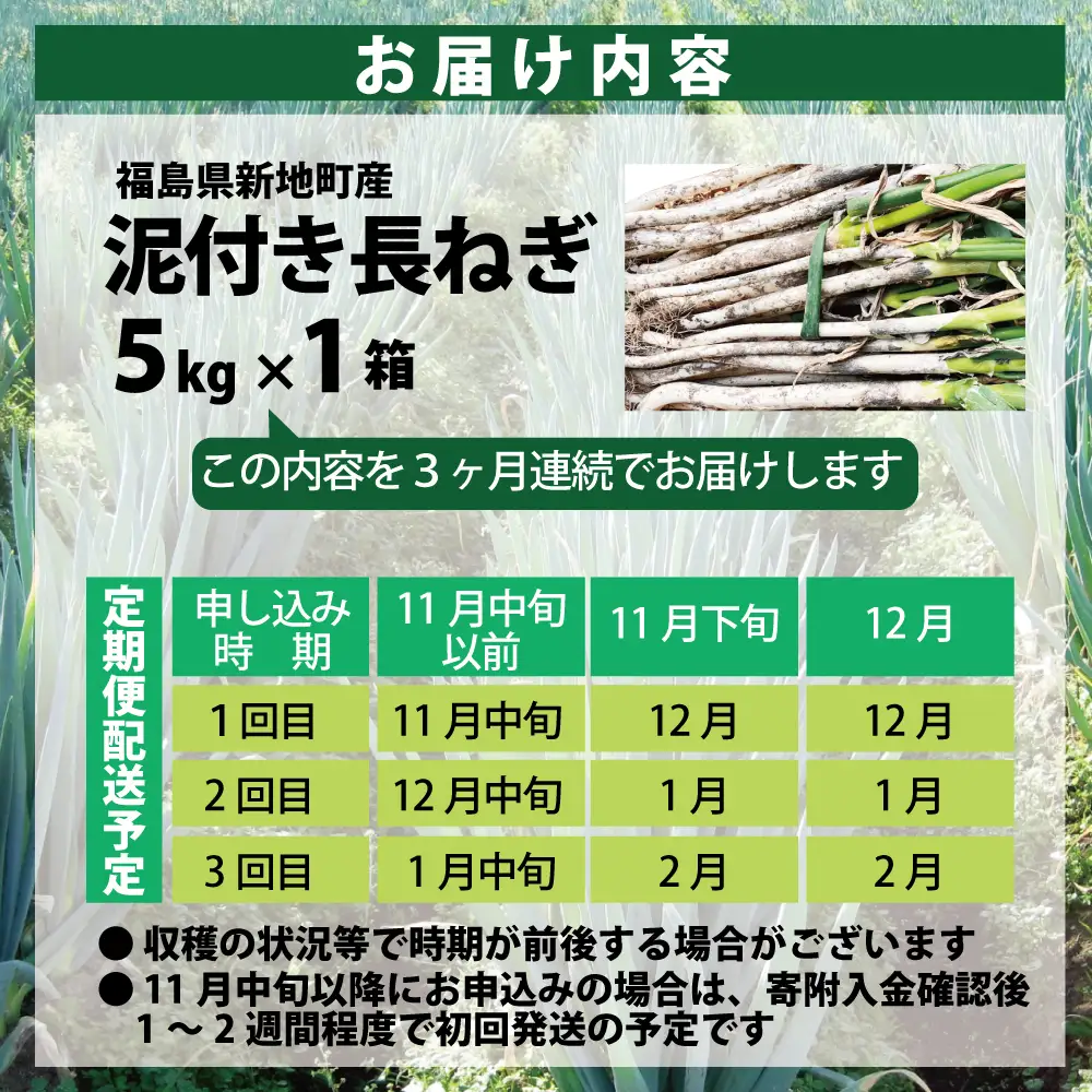 《先行予約》【全3回定期便】泥付き長ネギ 約5kg 1箱 | 訳あり 野菜 やさい 食品 人気 おすすめ 送料無料 ねぎ ネギ 葱 長ねぎ お取り寄せ 福島県 新地町 白ねぎ 鍋 冷凍保存 おかず お徳用 甘い おすそわけ 家庭用 贈答用