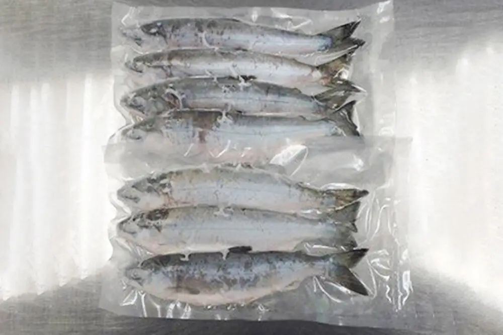 十和田湖ひめます（約26cm）6～8尾 約1.3kg 紅鮭 冷凍 