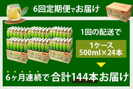 工場直送！うれしの茶 500ml×24本入 《6回 定期便》箱買い セット お茶 飲料 緑茶 飲み切りサイズ うれしの 嬉野茶 ペットボトル 24本入り 500ml ストック ギフト 贈り物 贈答 お中元 お歳暮 季節の変わり目 旬 備蓄 備え 佐賀県 鹿島市 J-35
