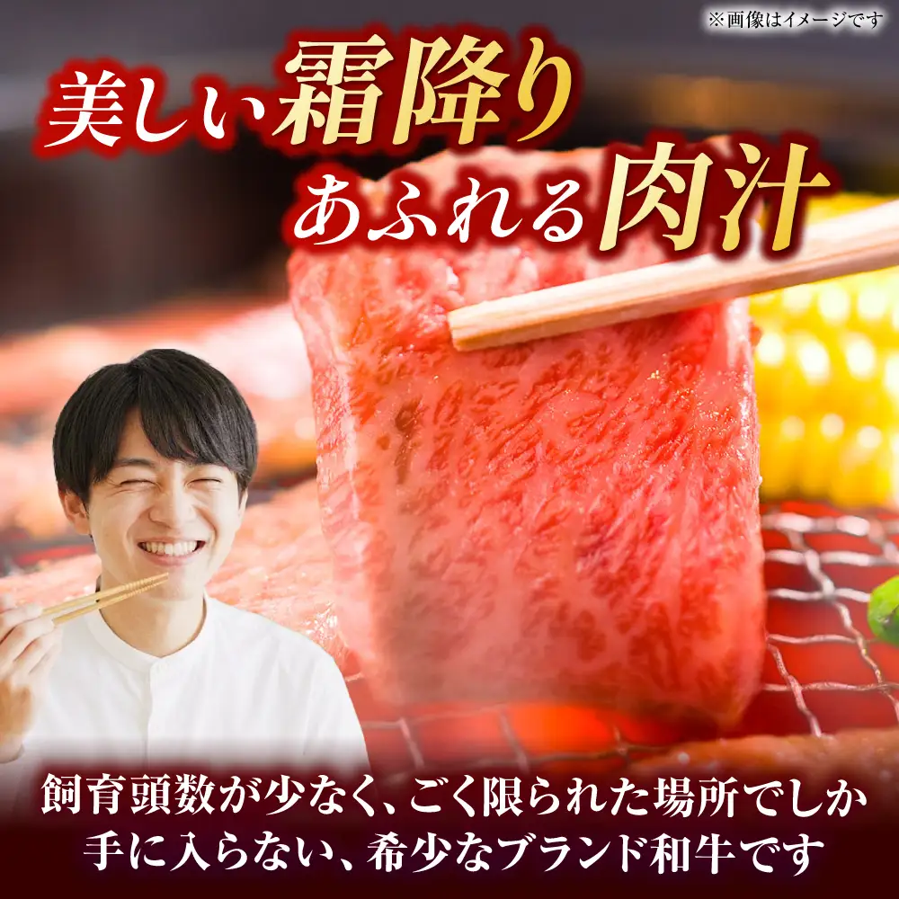 やまが和牛 上焼き肉用 1kg 黒毛和牛 和牛 牛肉 お肉 肉 焼肉 【鹿本農業協同組合】[ZAG016]