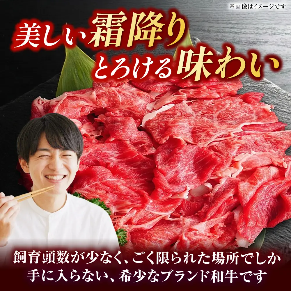 やまが和牛 切り落とし 約1kg 黒毛和牛 和牛 牛肉 お肉 肉【鹿本農業協同組合】[ZAG019]