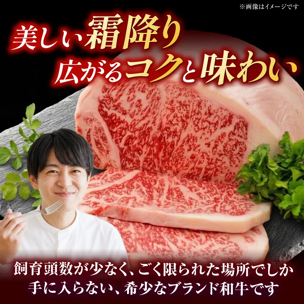 やまが和牛 ステーキ ロース 約200g×3枚 黒毛和牛 和牛 牛肉 お肉 肉 【鹿本農業協同組合】[ZAG020]