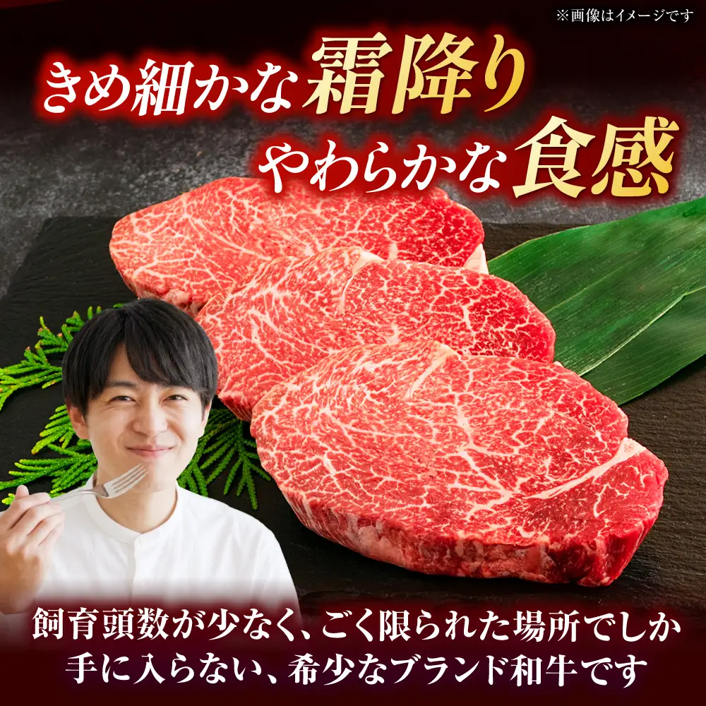 やまが和牛 ステーキ ヒレ 約200ｇ×3枚 黒毛和牛 和牛 牛肉 お肉 肉 【鹿本農業協同組合】[ZAG021]