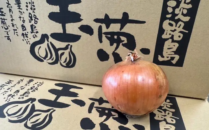 淡路島玉葱　5kg　◆配送５月中旬～翌年２月末頃