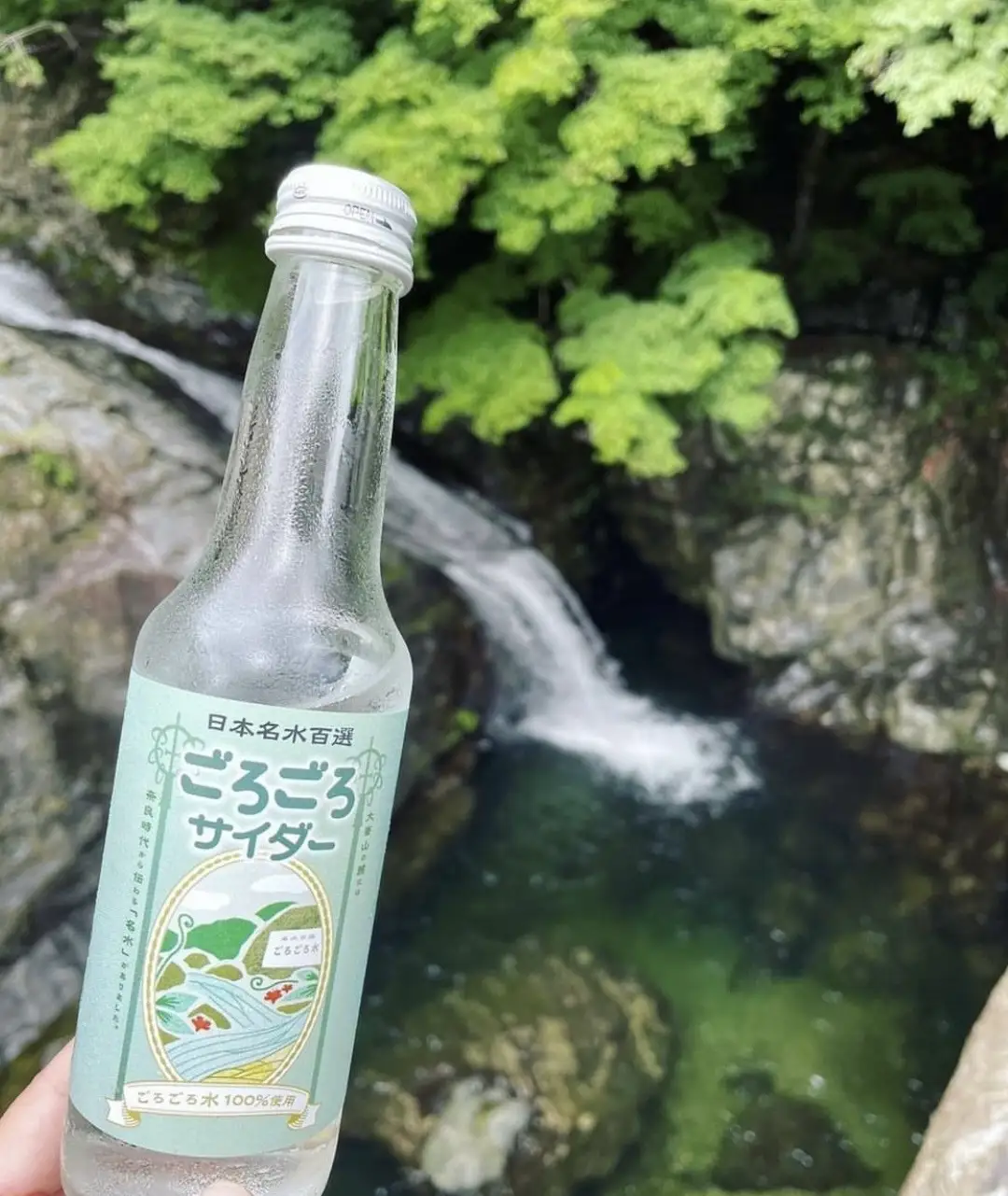 ごろごろサイダー 250ml×1箱（24本入）
