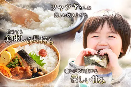 数量限定 米 訳あり 国産 ひのひかり 事業者支援 お米 ヒノヒカリ 無洗米 人気 家庭用 業務用 ご飯 おかず 弁当【KU-b-010-00-01】