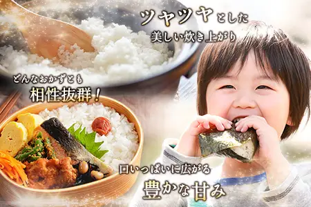 【事業者支援】 訳あり 米 国産 令和7年産 コシヒカリ 宮崎県産（3kg）