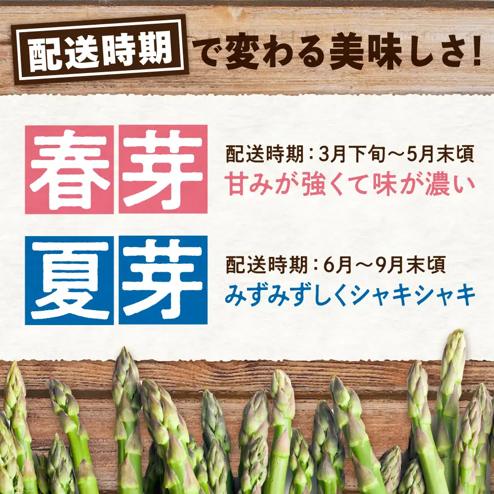 アスパラ 【2回定期便】 春芽＆夏芽 計2.0kg）[APAU005] アスパラガス