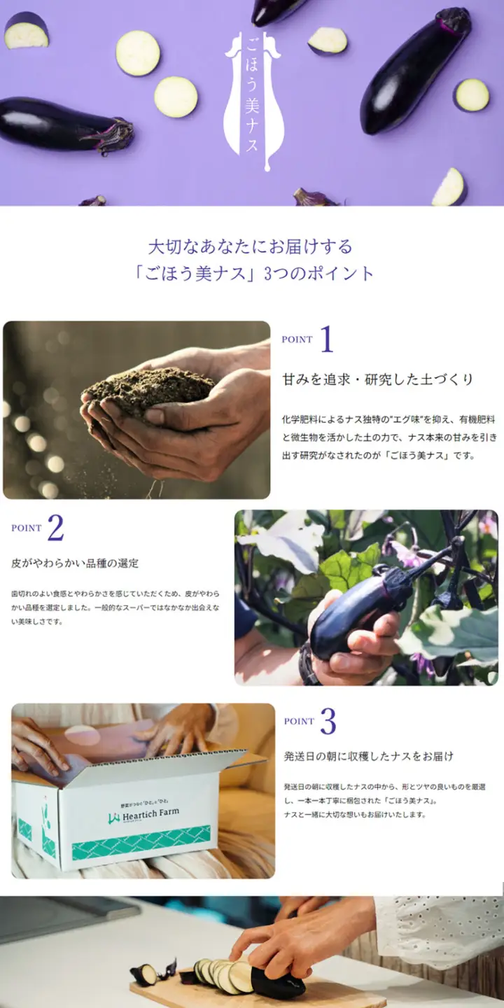 農家さん応援！訳ありごほう美ナス 約1.5kg