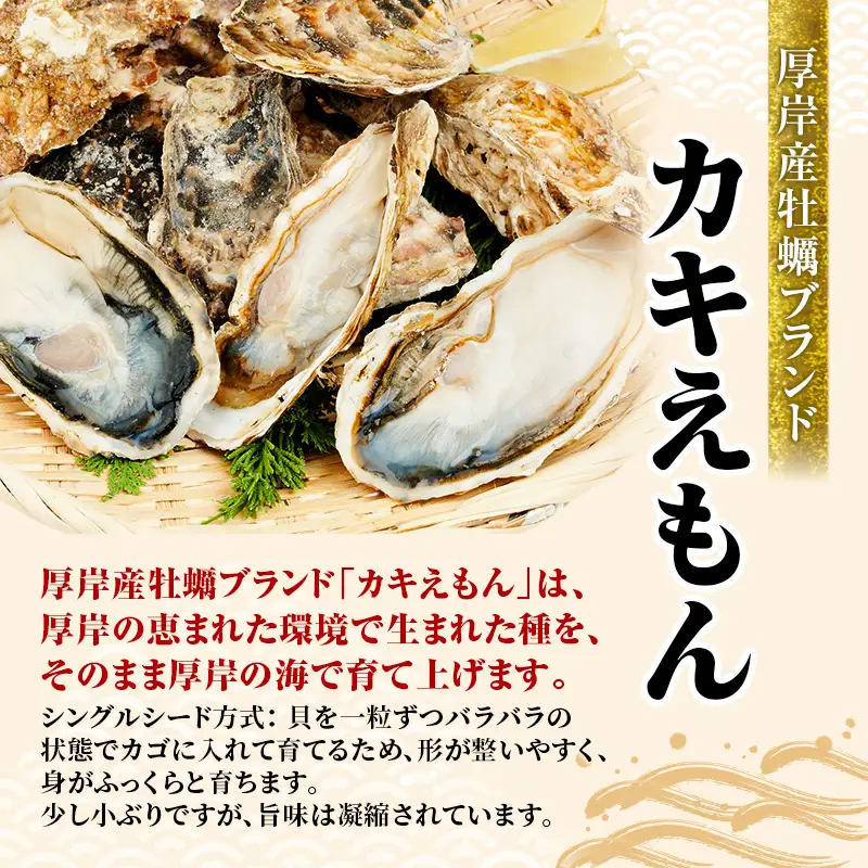 牡蠣 厚岸のブランド牡蠣 生食用 カキえもん Mサイズ 20個  [ 魚貝類 海鮮 海のミルク 国産 生食用殻付き牡蠣 まろやか クリーミー 食べやすい品種 海の香り 牡蠣の酒蒸し 焼き牡蠣  ]