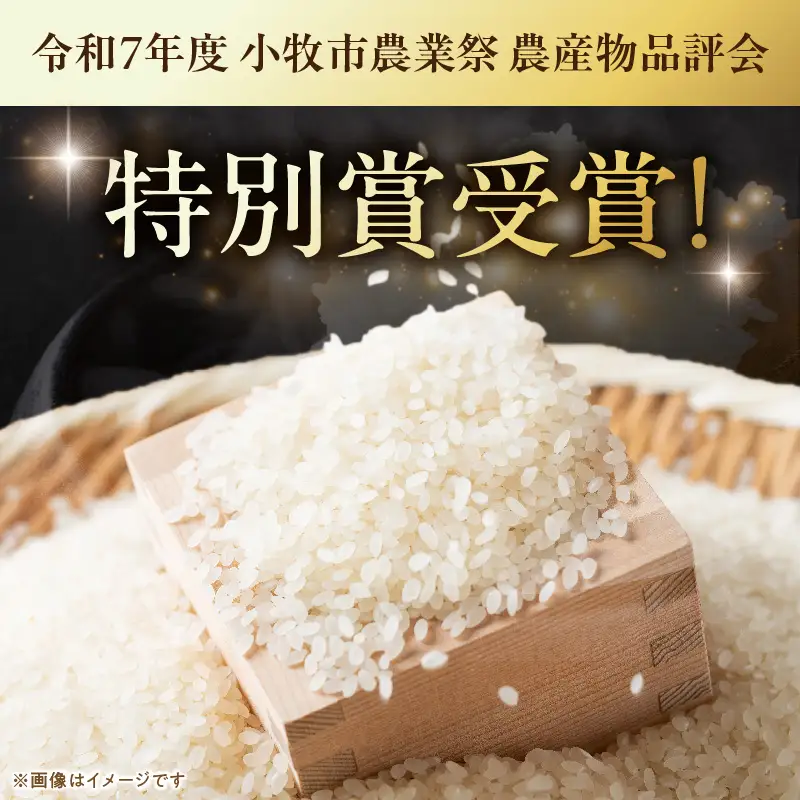 R7年産　「あいちのかおり」（20kg）＜農家直送＞ ［208K16］ 20kg 米 精米 白米 ご飯 国産 産地直送 ふくよかな甘み ほどよい粘り お取り寄せ 愛知県 小牧市 送料無料