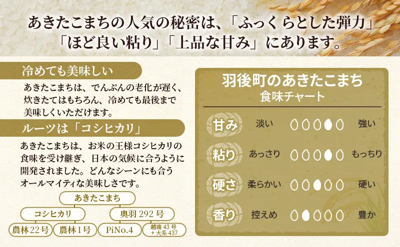 新米 先行予約［令和8年産］定期便 秋田県産 あきたこまち 5kg×1袋 全6回 毎月お届け 羽後町産 [藤原商店]【 米 お米 白米 精米 あきたこまち アキタコマチ 定期 定期便 美味しい 秋田 羽後 】