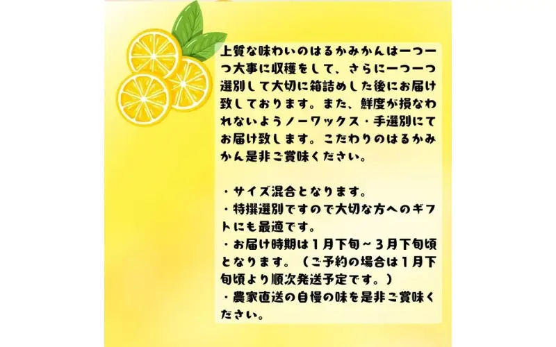 【先行予約】【人気柑橘】 特撰 はるかみかん 約1.5kg+200g(傷み補償分) ※2027年1月下旬～3月下旬に順次発送【ard248A】