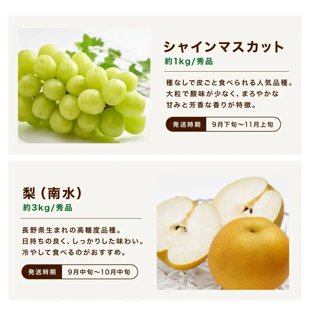 【定期便7回】信州の恵み 旬果 セレクト便 ( ライトプラン )