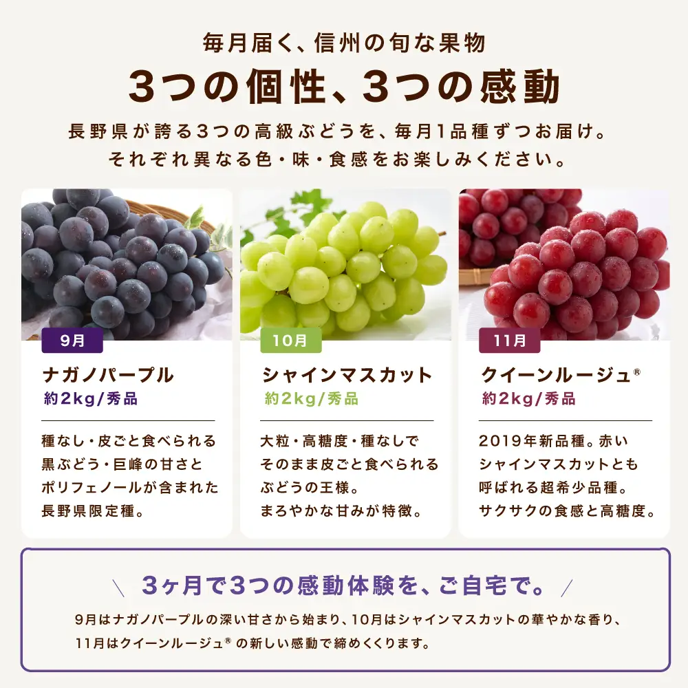 【定期便3回】長野県産 高級 ぶどう リレー便 ( 3ヶ月 )