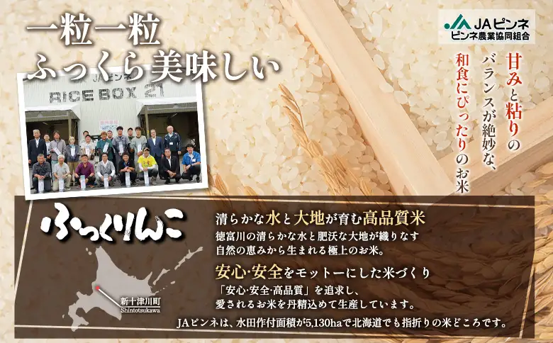 【令和7年度産】ふっくりんこ精米 (10kg)【11072】