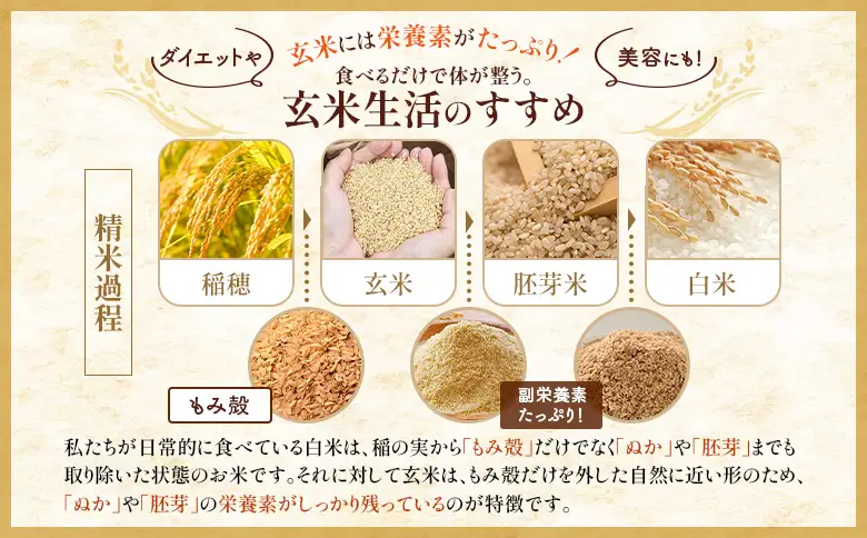 【令和7年度産】ななつぼし玄米 食味ランキング「特A」(10kg)【11068】