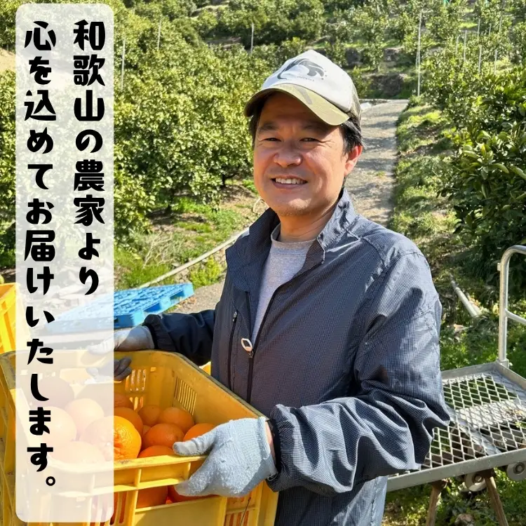 セミノールオレンジ（ご家庭用） 1kg+200g(補償分)｜ 柑橘 フルーツ 果物 くだもの 食品 人気 おすすめ 選べる 国産 美浜町