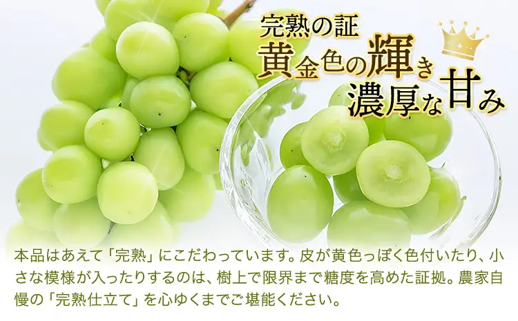完熟 シャインマスカット 約1kg ｼｬｲﾝﾏｽｶｯﾄ
