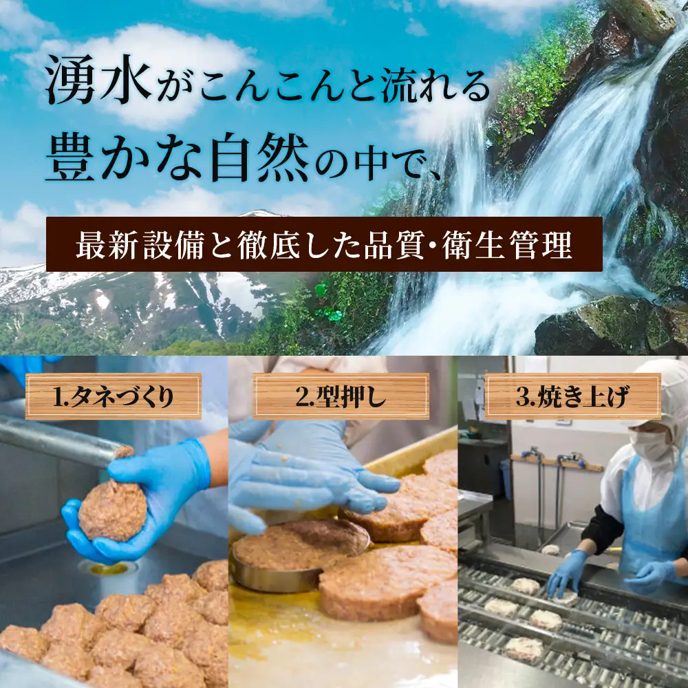 国産豚 ハンバーグ 10個セット